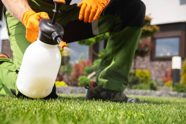 Best Mosquito Control Services  in Jackson, MS