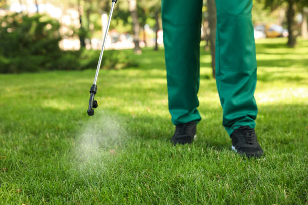 Flea Control Services in Jackson, MS