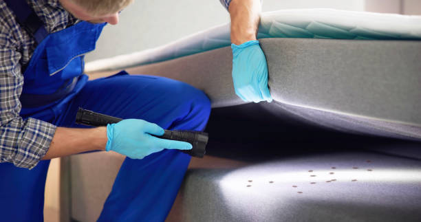 Best Pest Prevention Services  in Jackson, MS