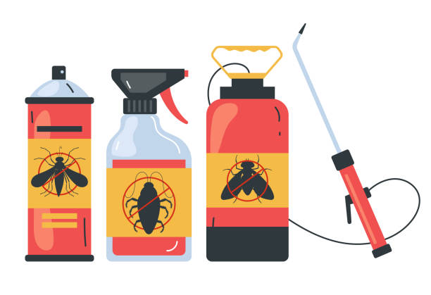 Best Termite Control Services  in Jackson, MS