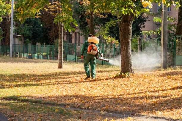  Jackson, MS Pest Control Pros